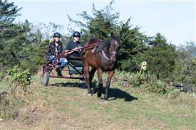 LR-WRF 10182025 Retreat-6466